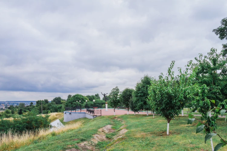 Картинка слайда 23