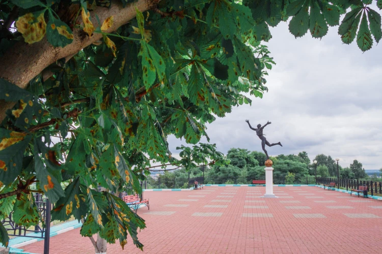 Картинка слайда 61