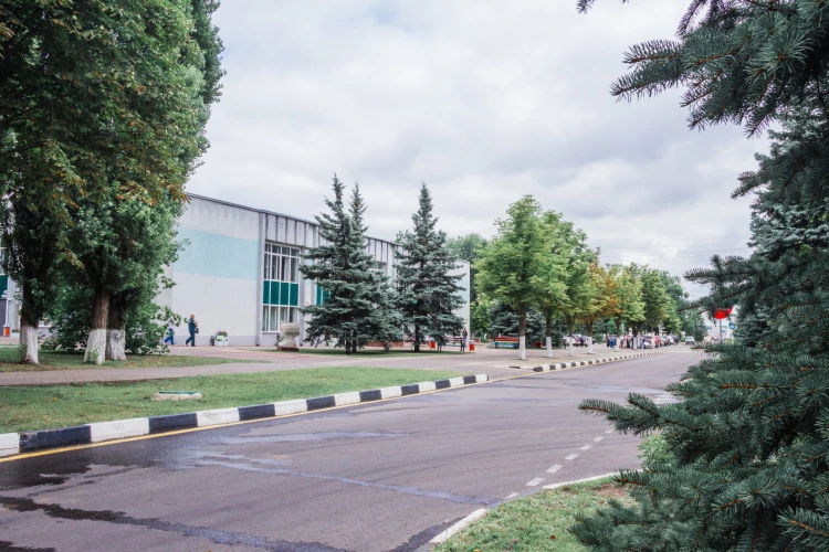 Картинка слайда 50