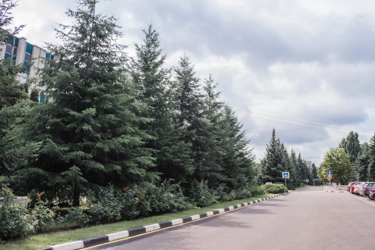 Картинка слайда 47