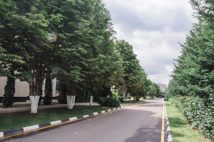 Картинка слайда 46