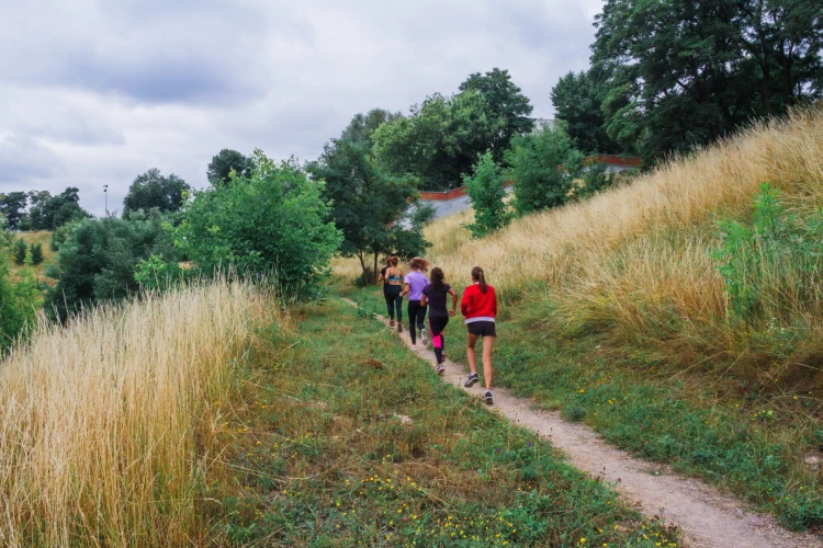 Картинка слайда 24