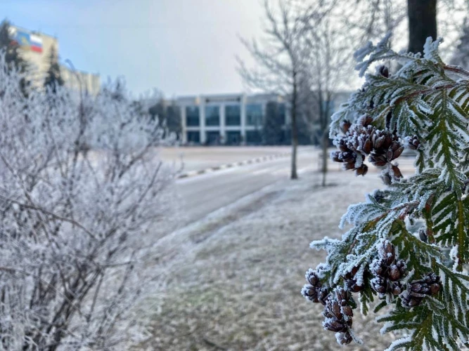 Картинка слайда 53