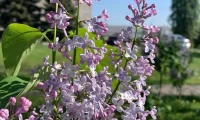Картинка слайда 61