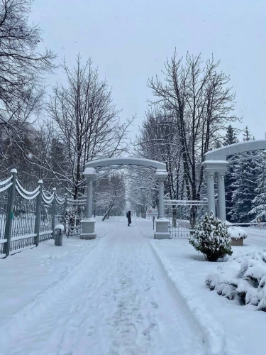 Картинка слайда 6