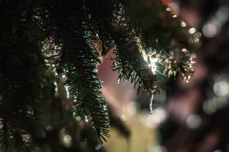 Картинка слайда 39