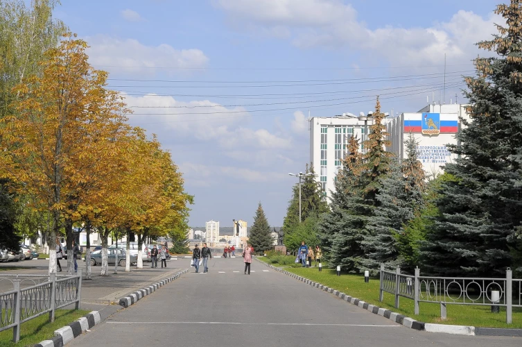 Картинка слайда 43