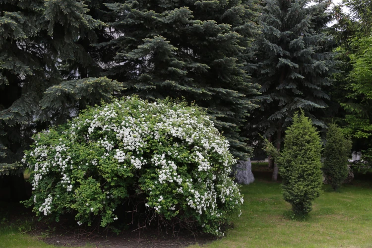 Картинка слайда 42