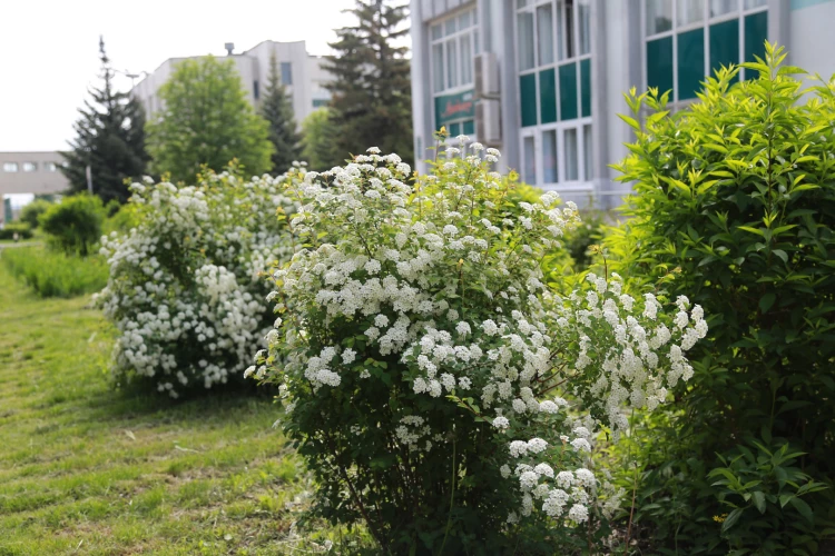 Картинка слайда 41