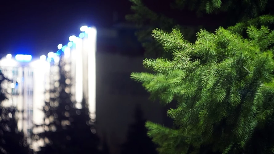 Картинка слайда 56