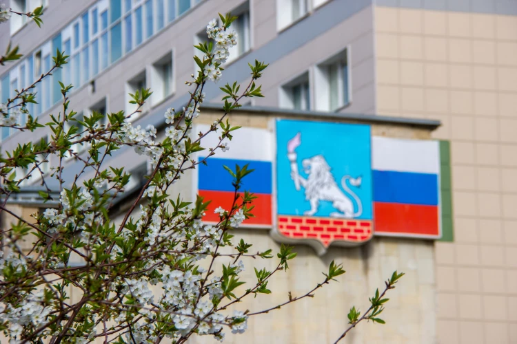 Картинка слайда 37