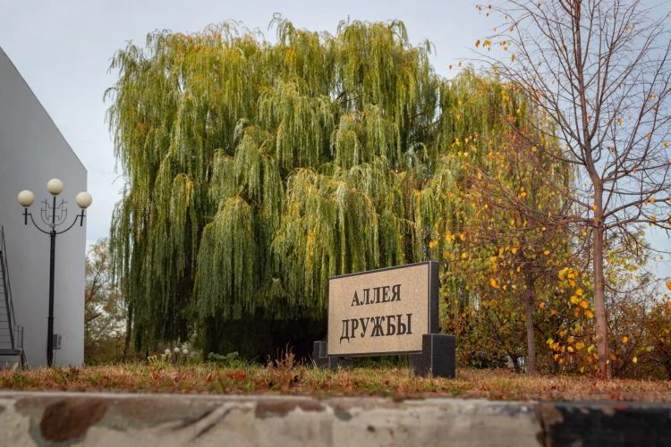 Картинка слайда 36