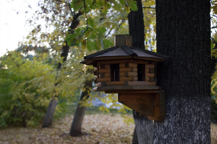 Картинка слайда 10