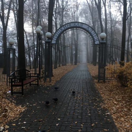 Картинка слайда 9