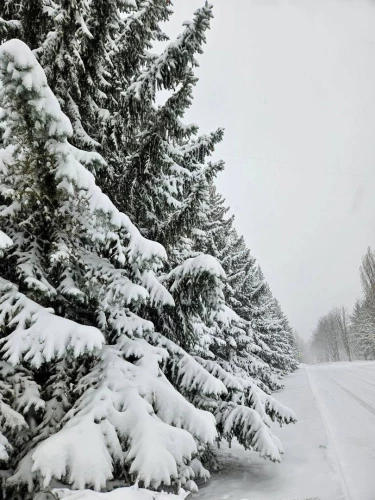 Картинка слайда 45