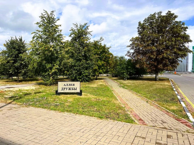 Картинка слайда 58