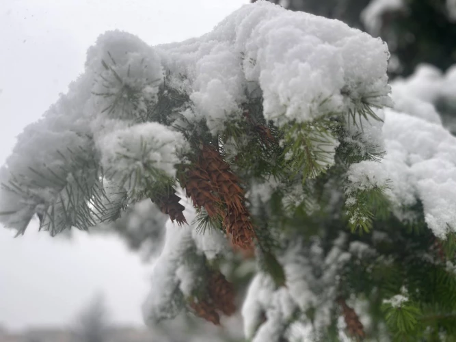 Картинка слайда 40