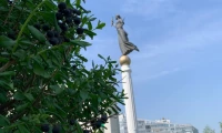 Картинка слайда 180