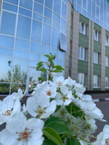 Картинка слайда 30