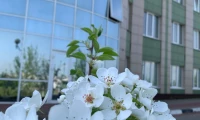 Картинка слайда 179