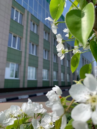 Картинка слайда 31