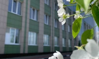Картинка слайда 178