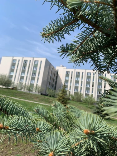 Картинка слайда 32