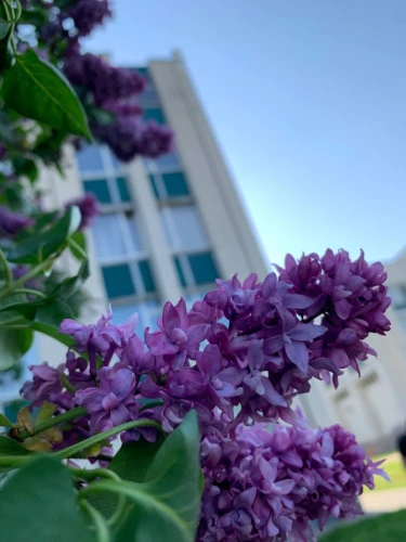 Картинка слайда 33