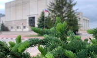 Картинка слайда 67