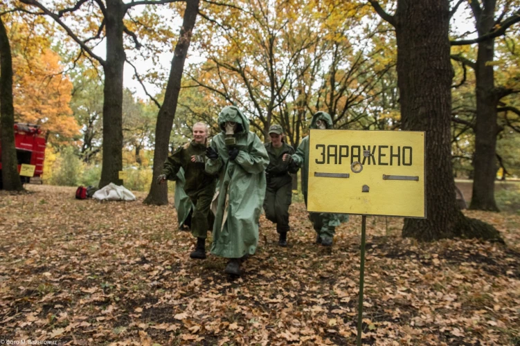 Картинка слайда 24