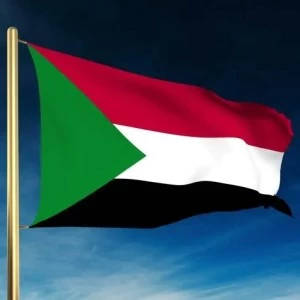 Посол Судана в России поздравил БГТУ с юбилеем 
