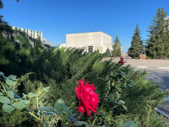 Картинка слайда 13