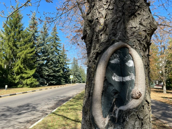 Картинка слайда 14