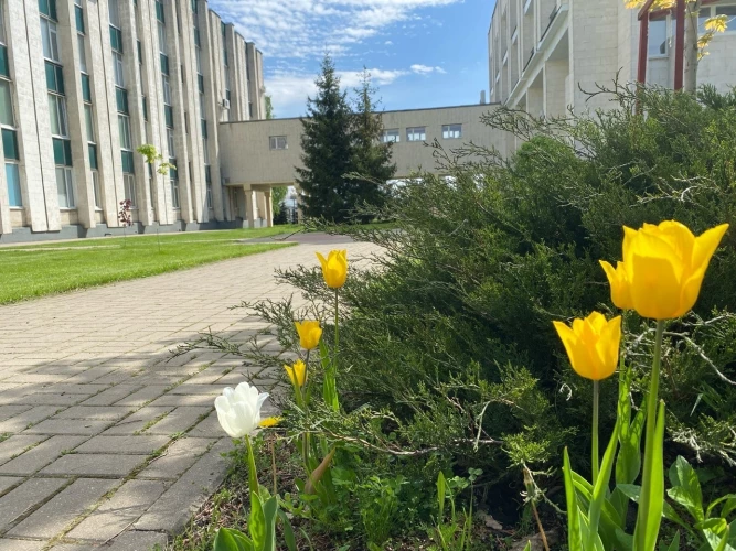 Картинка слайда 16