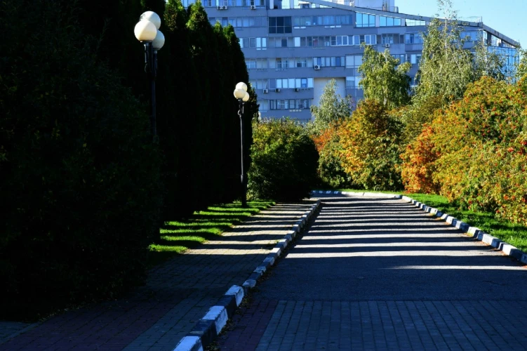 Картинка слайда 19