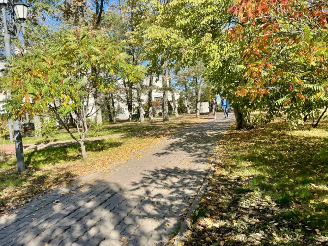 Картинка слайда 20