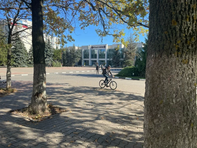 Картинка слайда 21