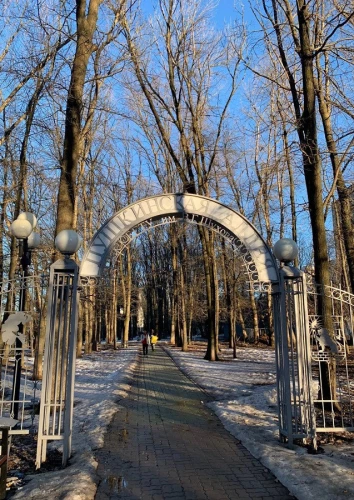 Картинка слайда 1