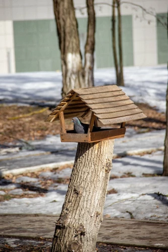 Картинка слайда 12