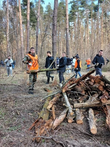 Картинка слайда 55